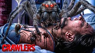 UMA NOVA INFESTAÇÃO DE ARANHAS VENENOSAS QUE NÃO PARA DE CRESCER E SE MULTIPLICAR | CONHEÇA CRAWLERS