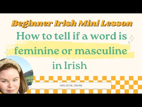 How to tell if a word is feminine or masculine in Irish