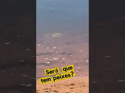 Peixes demais no rio Corrente, Serranópolis GO.