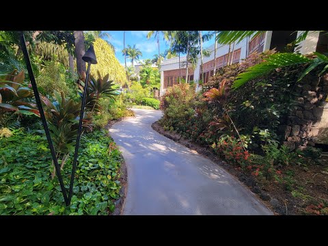 Amazing Trip to Honolulu Hawaii