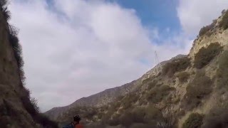 Downhill from the new seedling.  Planted on Jan 15th, 2016