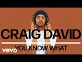 Craig David - You Know What (Official Audio)