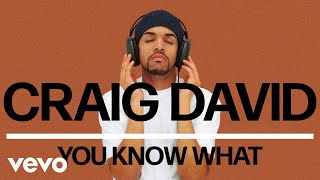 Craig David - You Know What (Official Audio)