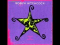 Robyn Hitchcock - Jewels for Sophia