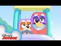 Bluey And Bingo Dress Up As Grannies Bluey Disneyjr