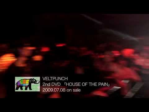 2nd DVD「HOUSE OF THE PAIN」 2009.7.8 ON SALE