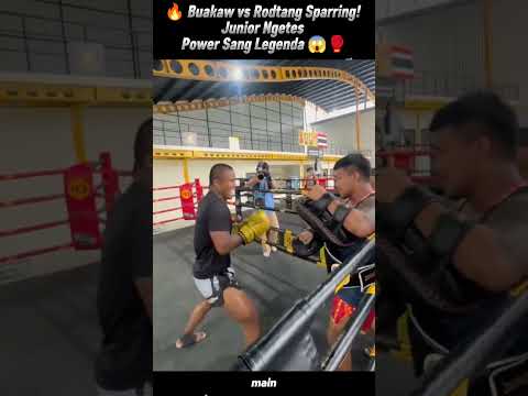 🔥 Buakaw vs Rodtang Sparring! Junior Ngetes Power Sang Legenda 😱🥊 #buakaw #fypシ #rodtang #muaythai