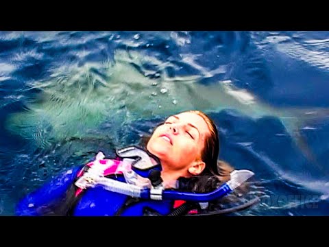 Abandoned in the middle of the ocean | Open Water | CLIP