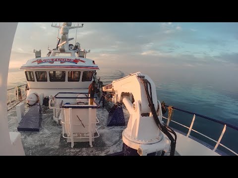 Precision Fishing trial on the Virtuous, NE Scottish Mixed Demersal Fishery, 2021