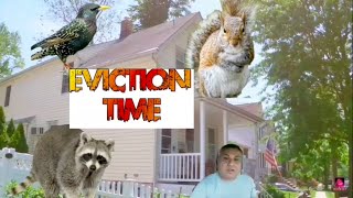 HOW TO GET RID OF SQUIRRELS OR BIRDS FROM YOUR ATTIC AND SAVE HUNDREDS,