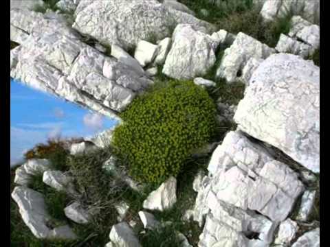 Klapa Sol - Di pocimje Dalmacija