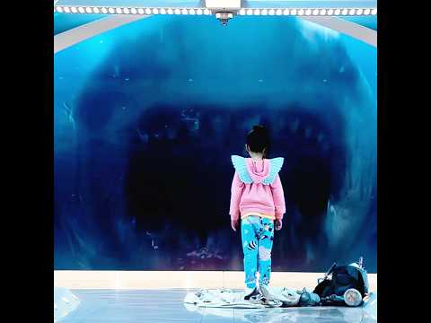 ESSA MENINA ENCONTROU UM TUBARÃO ENORME #shorts