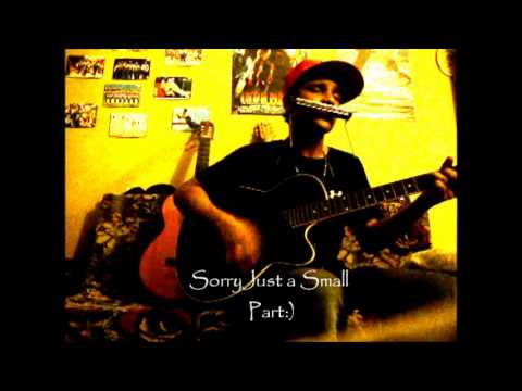 Watch - Don Omar - Danza Kuduro ft. Lucenzo Harmonica With Guitar