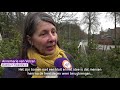 Kerstboom gaat massaal de deur uit