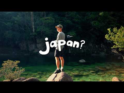 5 days in yakushima | local food, ancient cedar forrest, island reset