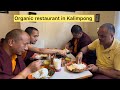 Organic restaurant in Kalimpong ￼Maja ayo..@dorjeetamangvlog7356