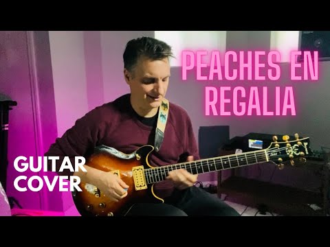 Zappa - Peaches En Regalia - Guitar Cover