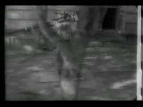 Xpansul and massi dl - nerd soul (original mix).avi