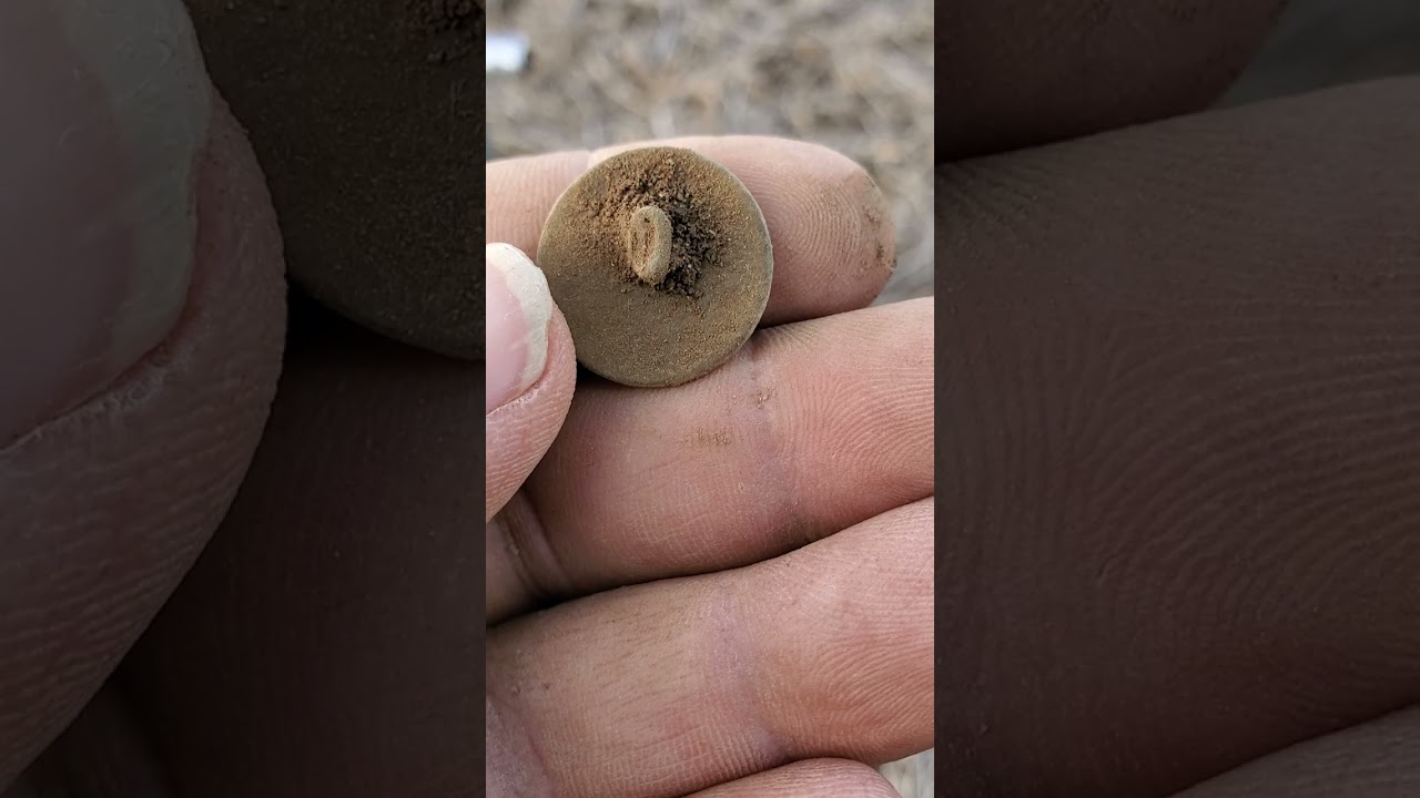 March flat button #metaldetecting #buttons #shorts