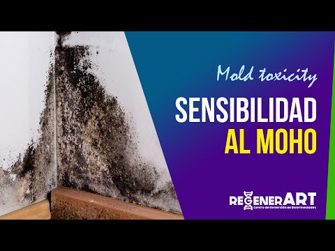 Testimonio: cáncer de mama y HOCATT
