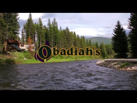 - YouTube