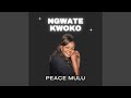 Nenga Umiisyo