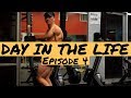 DAY IN THE LIFE: Episode 4 - Physique Update + Full Body Workout