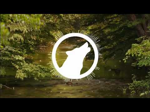 Felix Jaehn X Mike Williams - Feel Good (R.Z.S Remix)