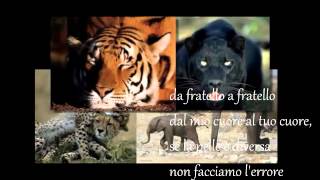 Franco Fasano - Da Fratello A Fratello