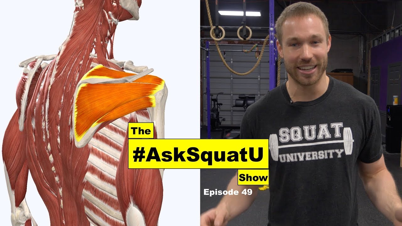 Improving Rotator Cuff Strength & Stability |#AskSquatU Show Ep. 49|