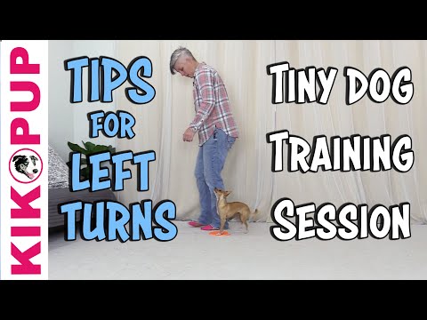 What is Clicker Training