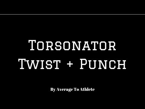 Torsonator Twist + Punch