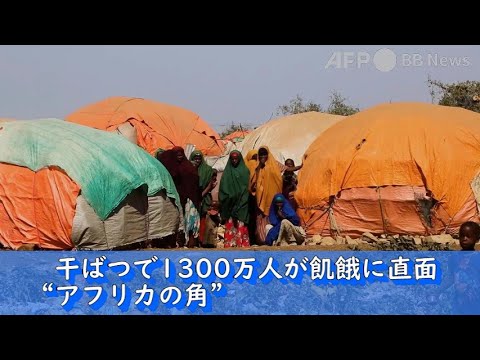 アフリカの角の干ばつ予報