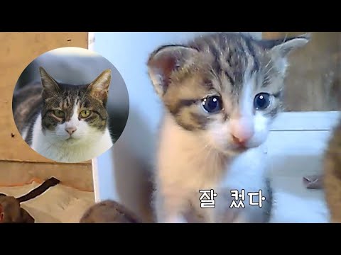 야통이도 작았던 시절이 있었다