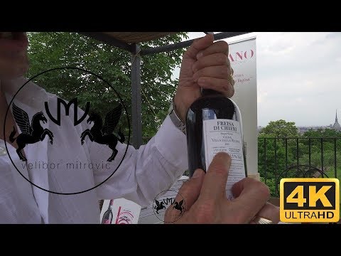 🍷Italian superior wine - FREISA DI CHIERI DOC SUPERIORE - VIGNA VILLA DELLA REGINA