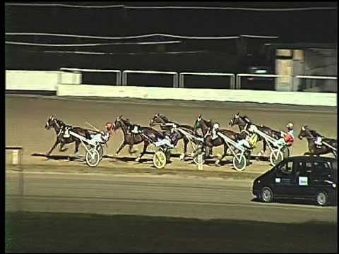 Trotto 21/06/2015 - 8° corsa