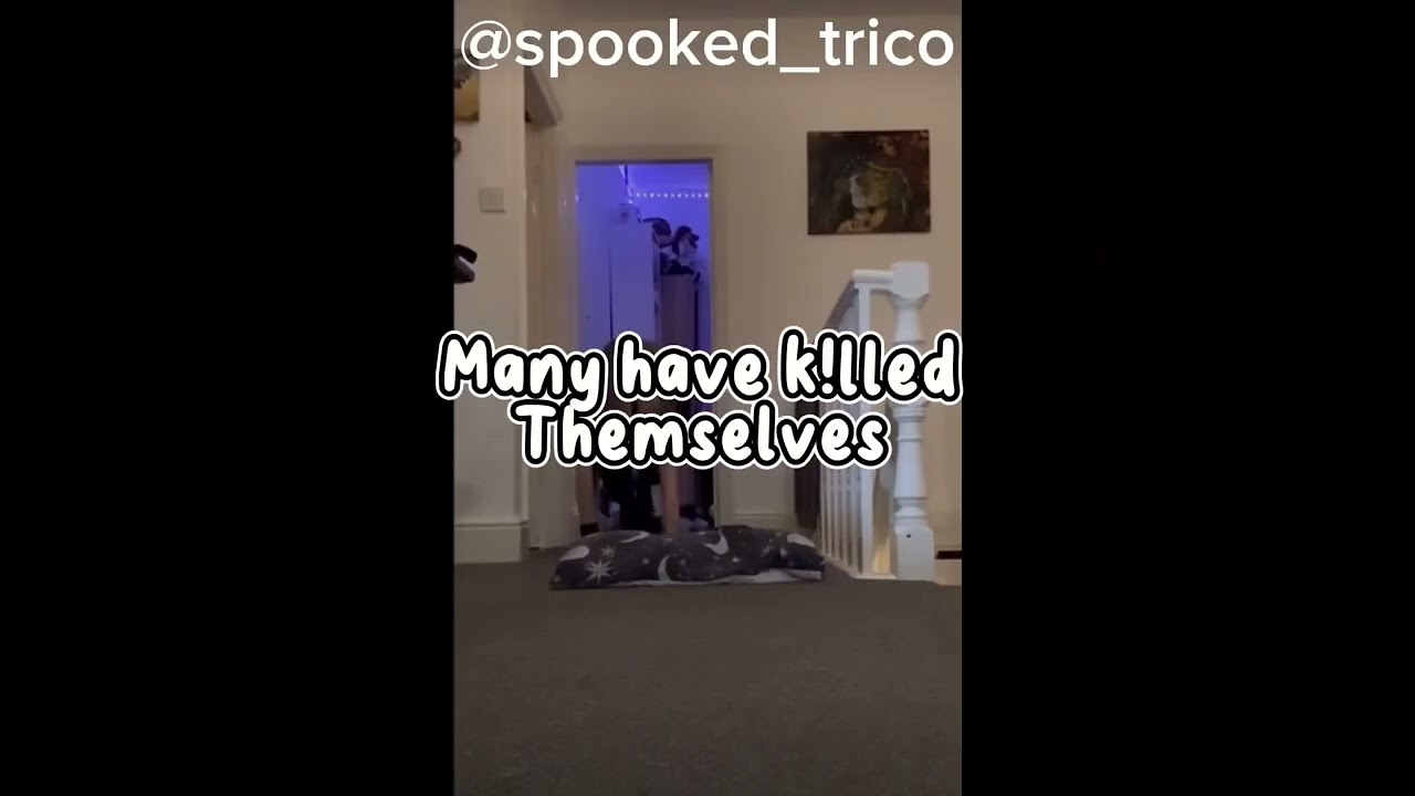 Therian hate comments are awful