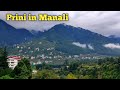 Exploring prini village of Manali, Himachal Pradesh