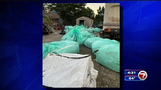 Police discover stashes of marijuana after finding 2 stolen horses at SW Miami-Dade property