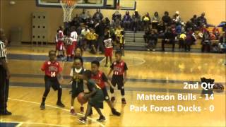 preview picture of video '2015 Matteson Bulls - Game 8 @ Park Forest Ducks - 2/27/15'