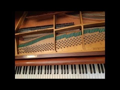 J. S. BACH Preludio in SI b mag.