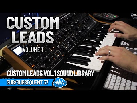 SCL309 - ( Bundle ) - Substantia + Custom Leads - Moog Sub 37 / Subsequent 37 - Video Preview 3
