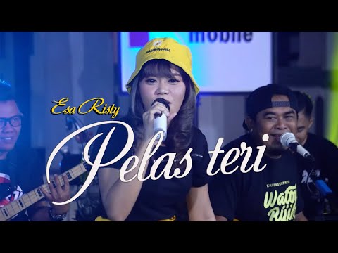 Esa Risty - Pelas Teri (Official Video)