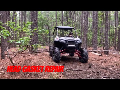 World's Cheapest RZR Runs Again: Head Gasket Repair