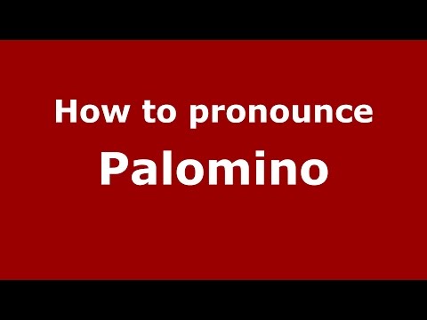 How to pronounce Palomino