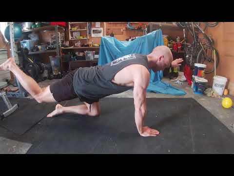 Gym Exercise - Opposite Arm and leg