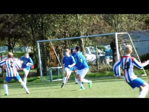 Jo17-2 Terrasvogels- Jo17-2 Vvh