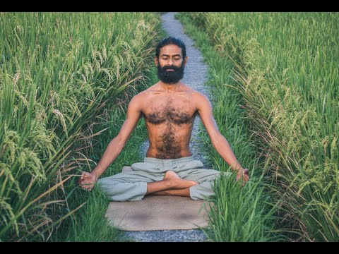 PATANJALI YOGA SUTRAS: Meditation on the 8 Limbs of Yoga