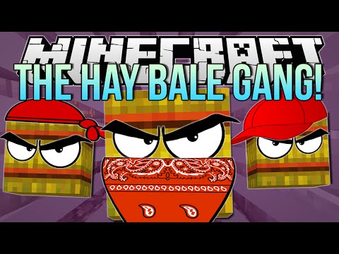 THE HAY BALE GANG | Minecraft: Hide N Seek Minigame! Video