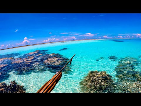 Spearfishing Alone in a Mysterious Lagoon – Untouched Paradise?